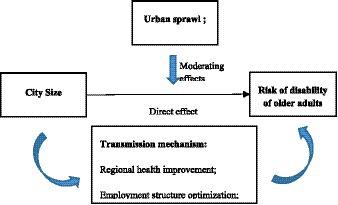 The effect of city size on the disability rate of the older adults: empirical evidence from CHARLS data